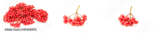Group of red guelder rose berries close-up on white photo