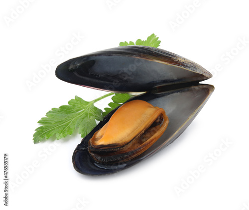 Delicious cooked mussel in shell with parsley on white background