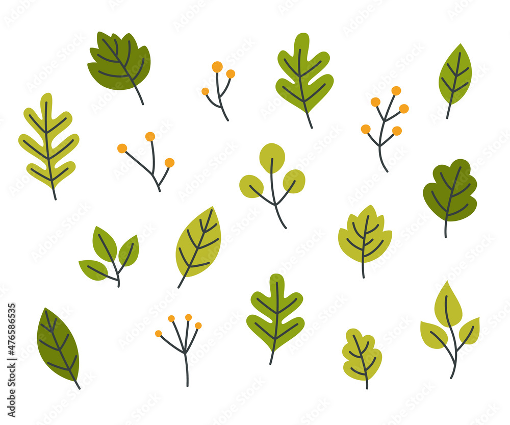 Green leaves collection. Plant parts doodle set. Bundle of botanical decorative design elements.