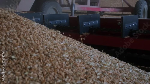 loading grain into warehouses using a loader