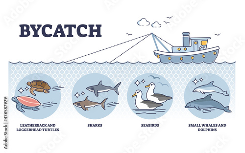 Bycatch problem with unwanted animal capture in fishing process outline diagram. Labeled educational wild species type example that suffer from unintentionally animals caught vector illustration.
