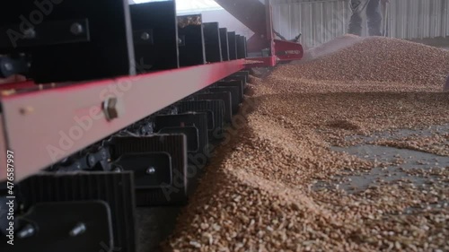 loading grain into warehouses using a loader