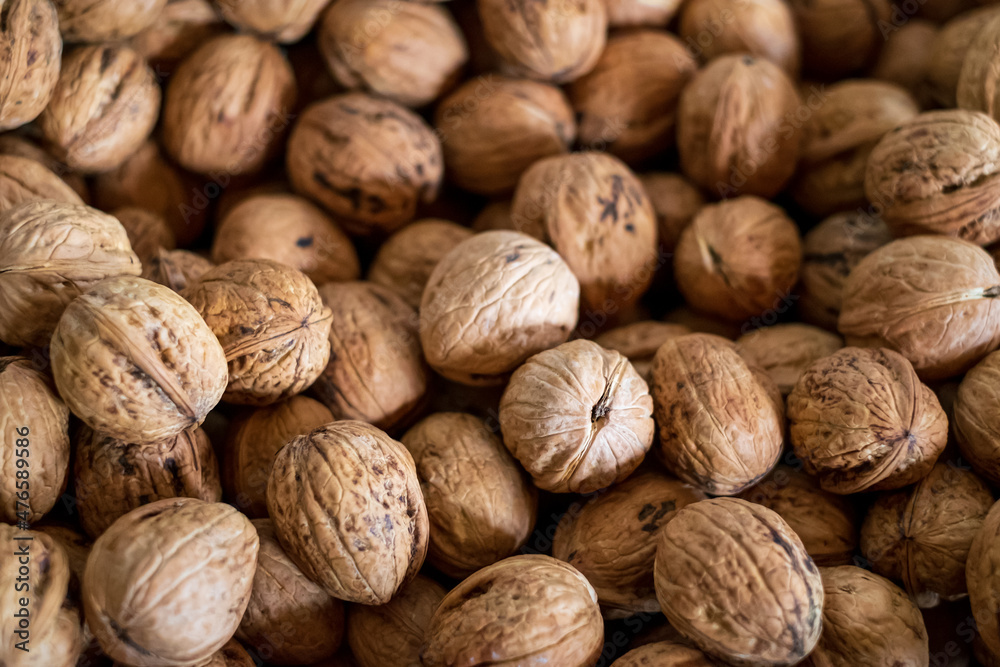 many ripe walnuts. background. close view many ripe walnuts. background. close view