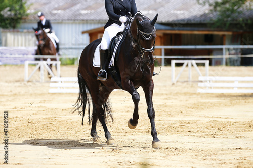 Black dressage horse with rider changing gallop on the diagonal..