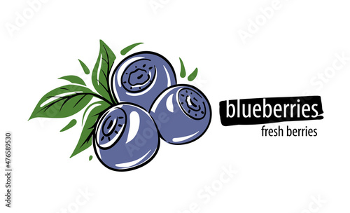 Drawn vector blueberries on a white background