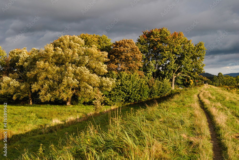 Obraz premium Zapora w Cieplicach w jesiennych kolorach.