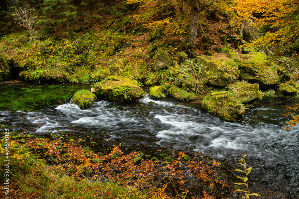 hike through the Kamnitzklamm in autumn hike through the Kamnitzklamm in autumn