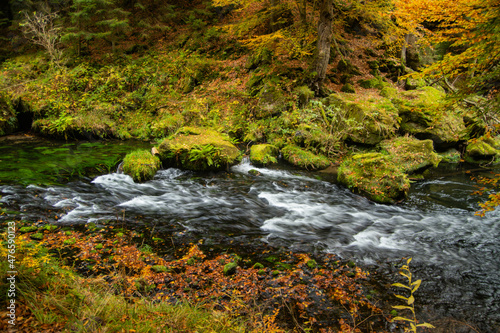 hike through the Kamnitzklamm in autumn photo