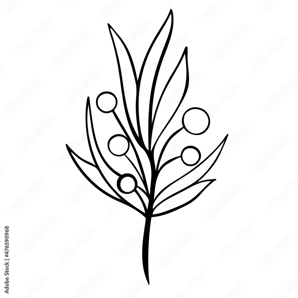 Deciduous twig with berries in doodle style vector isolated illustration. Hand drawn branch with leaves. Botanical natural foliage decoration