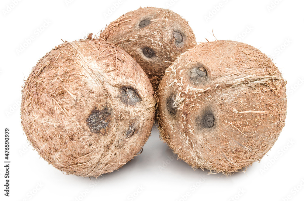 Coconut on a isolated white background Coconut on a isolated white background