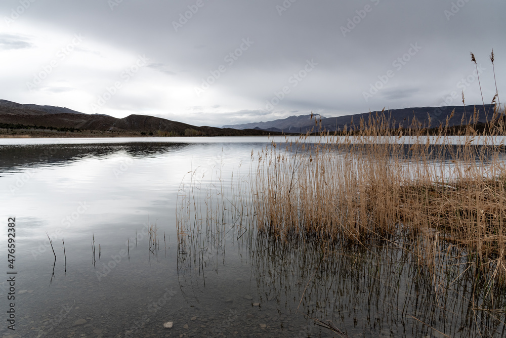 Lake Tislit in Morocco. A view of grass plants growing in the lake under a gray rainy sky