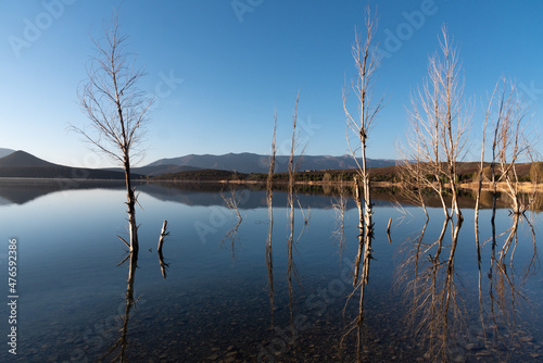 Lake Tislit in Morocco. Bare trees are reflected in the still waters of the lake