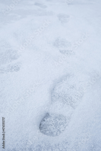 Landscape snow scene with footprints. Footprints in the snow. Winter day. 
