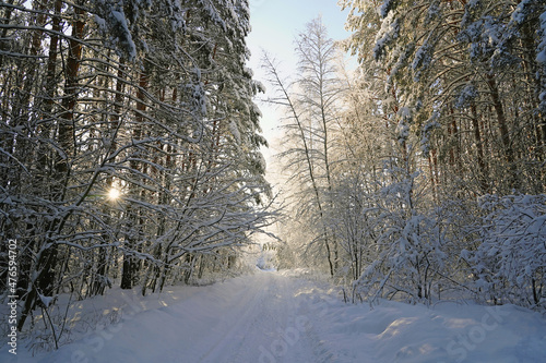 The road passes through a fabulous winter forest, trees, firs and birches are covered with snow after a snowfall