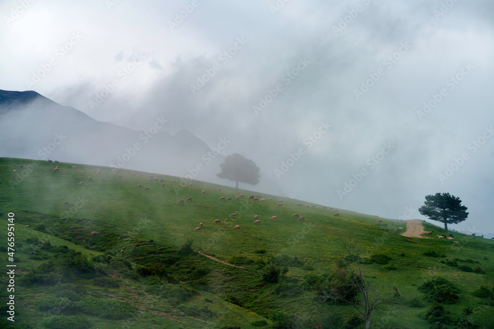 Road of Vasto, in Abruzzo. Mountain landscape at springtime