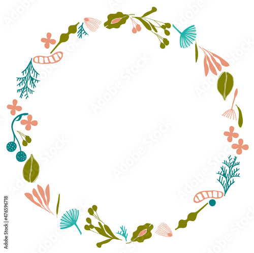 Seed frame vector illustration for decor