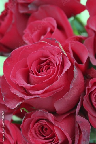 red roses bouquet