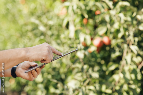 Fruit grower with digital tablet checking quality in modern organic orchard