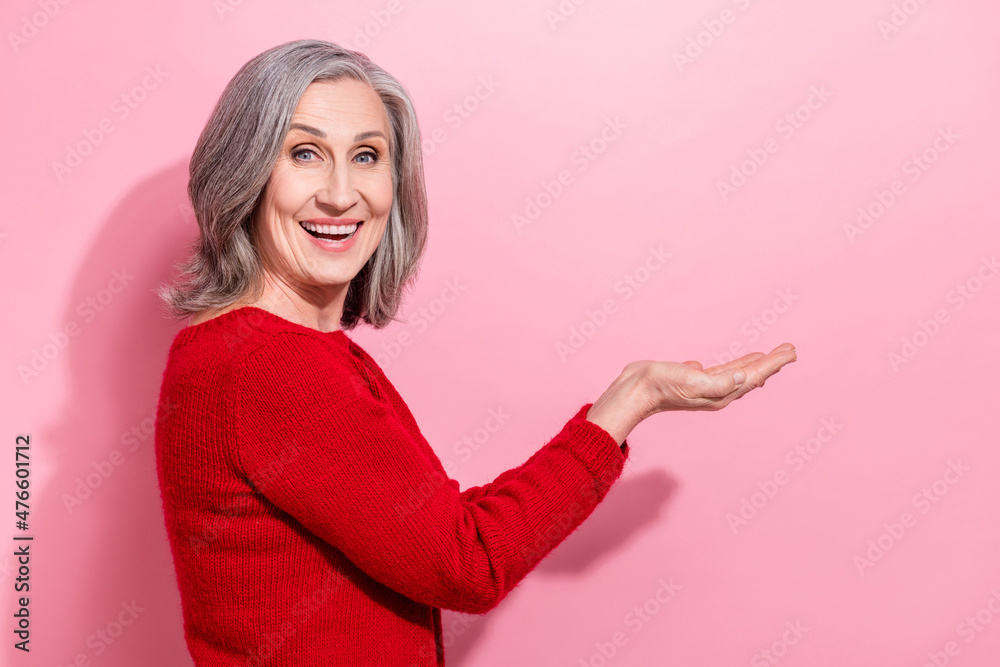 Profile side view portrait of attractive cheerful gray-haired woman holding copy space isolated over pink pastel color background Profile side view portrait of attractive cheerful gray-haired woman holding copy space isolated over pink pastel color background