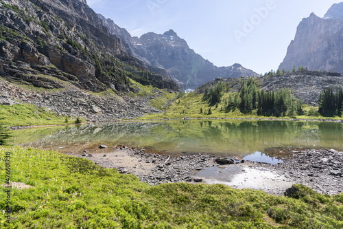 Beautiful green alpine meadow scene with small lake and mountains, narrow, British Columbia, Canada