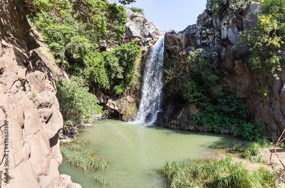 Obraz premium Mountain Saar Falls with cold and crystal clear water descends from a crevice in the mountains of the Golan Heights in Israel.