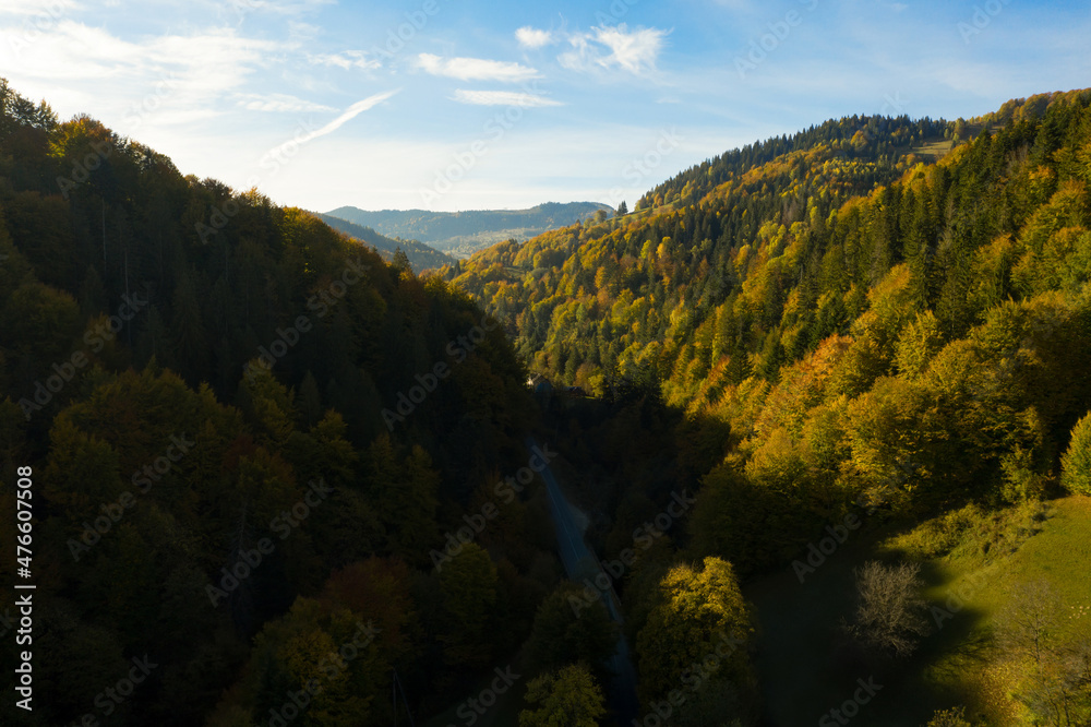 Aerial view of beautiful mountain forest with road on autumn day