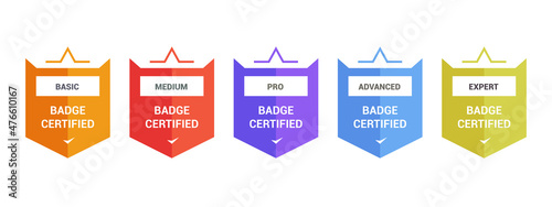 Shield badge certified logo colorful design. Winner competition badge. Certificate company training emblem.