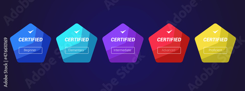 Set of company training badge certificates to determine based on criteria. Vector illustration certified logo design.