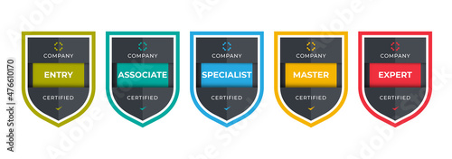 Certified badge logo design for company training badge. Certificates to determine based on criteria. Standard verified colorful modern vector illustration.