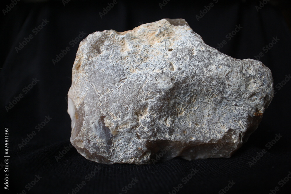 Gelber Feuerstein mit Bryozoen Moostierchen Gelber Feuerstein mit Bryozoen Moostierchen