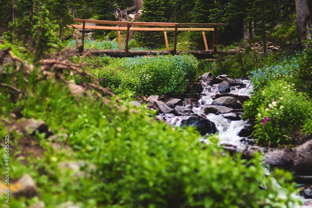 Obraz premium old stone bridge