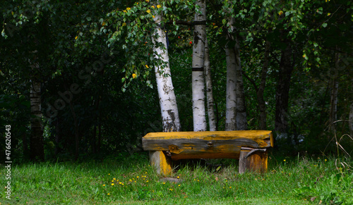 bench in the park