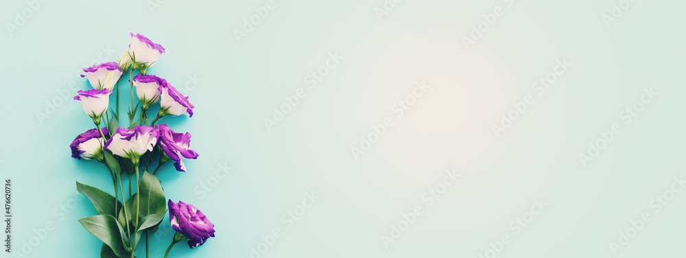 Top view image of pink and purple flowers composition over pastel blue background .Flat lay Top view image of pink and purple flowers composition over pastel blue background .Flat lay