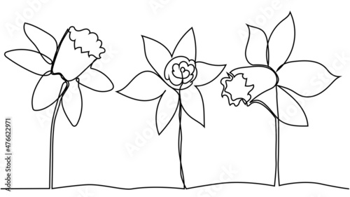 One single line drawing of beauty fresh narcissus for garden logo. Printable decorative daffodil flower