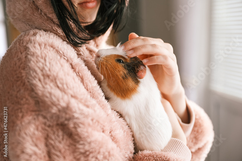 Foto Cute guinea pig in the girl's arms, child and animal concept