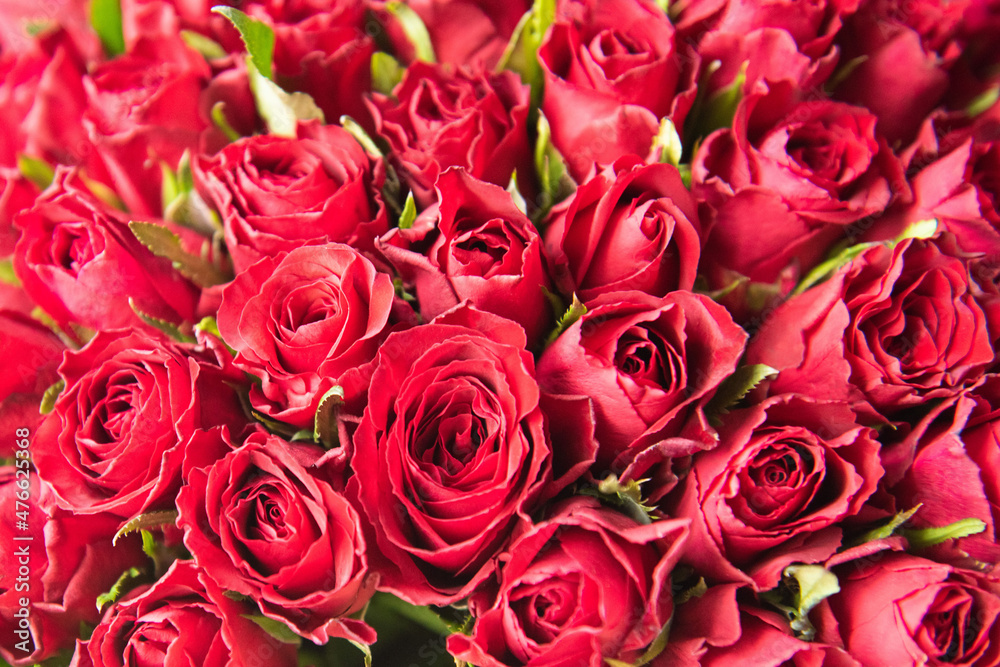 Obraz premium Bouquet of flowers. Red roses. Beautiful flowers for valentines and wedding scene. Valentines and 8 March Mother Women's Day concept.