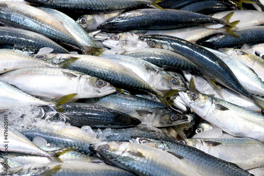 Fototapeta premium Seafood at the fish market in Korea
