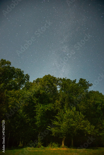 Milky Way and forest forest in the night . Night landscape. Nightsky and clouds . Stars in the sky . Lights of the city . 