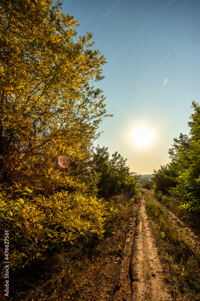 Fototapeta premium sunset on the road