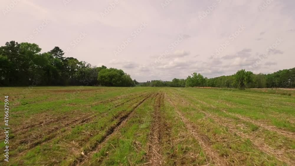 Plane taking off from grass landing strip POV Plane taking off from grass landing strip POV