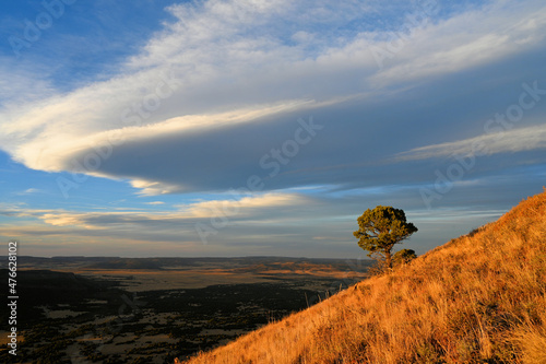 Nature at Volcano park in New Mexico
