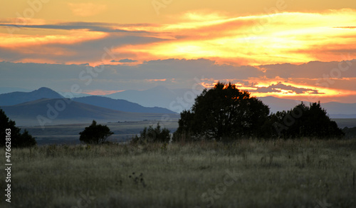 Nature at Volcano park in New Mexico