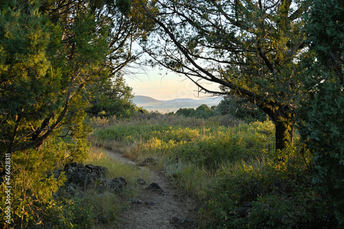 Nature at Volcano park in New Mexico