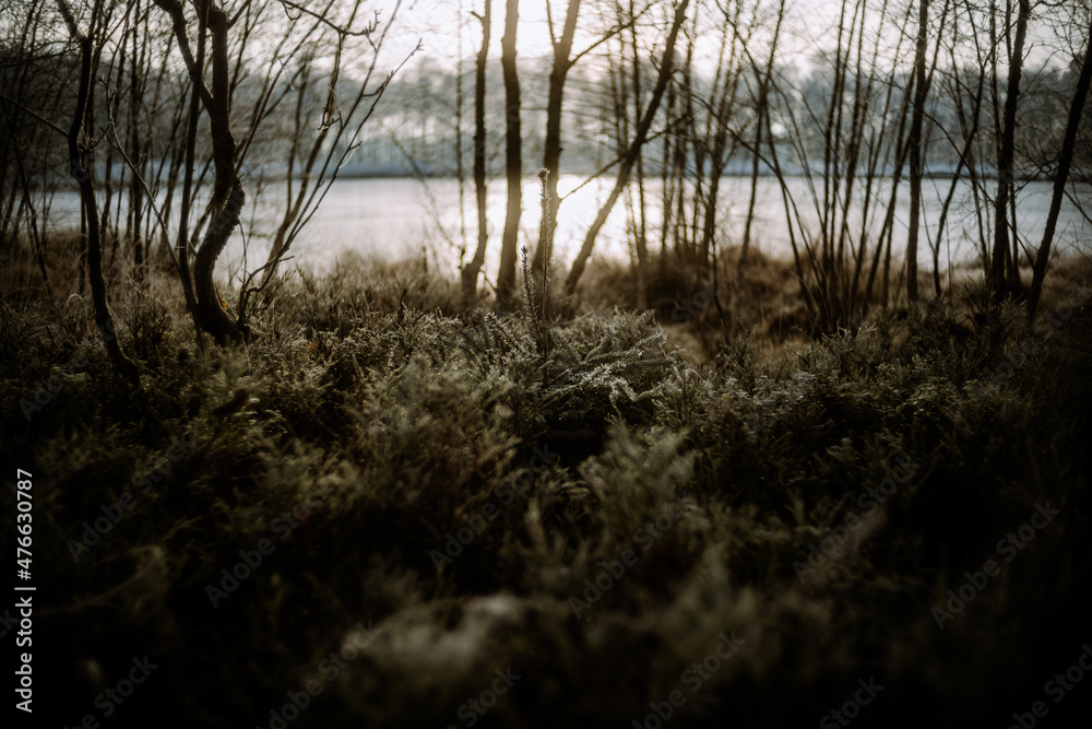 Oldenburg, See, Winter