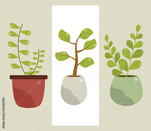 icons set houseplants