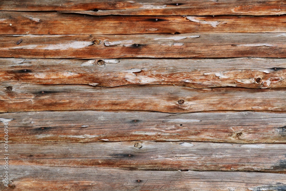 Fototapeta premium background, texture shield made of a semicircular badly smoked wood