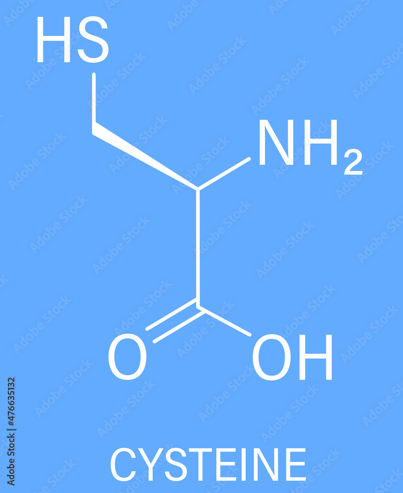 Vetor de Cysteine or lcysteine, Cys, C, amino acid molecule. Skeletal