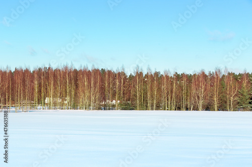 Wallpaper Mural Winter panoramic view landscape with small house, snowy meadow, forest in background in Northern Europa Torontodigital.ca
