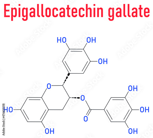 Epigallocatechin gallate or EGCG green tea polyphenol molecule. Has antioxidant properties and may contribute to health effects of tea. Skeletal formula.