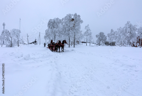 Horse in winter © oleg_ru